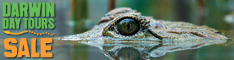 Darwin Day Tours
